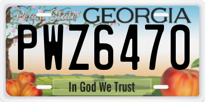 GA license plate PWZ6470