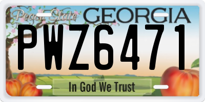 GA license plate PWZ6471