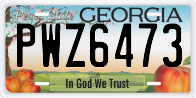 GA license plate PWZ6473