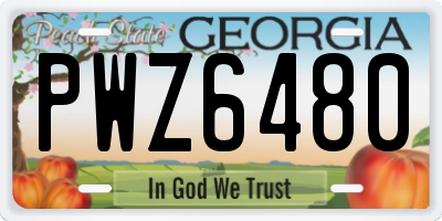 GA license plate PWZ6480
