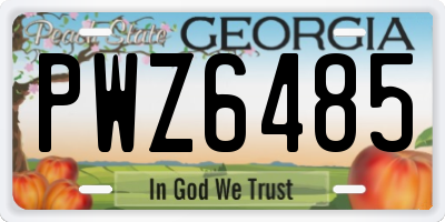 GA license plate PWZ6485