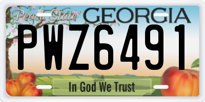 GA license plate PWZ6491