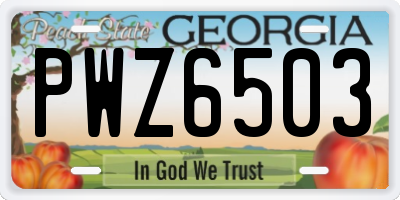GA license plate PWZ6503