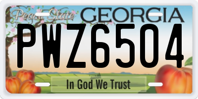 GA license plate PWZ6504