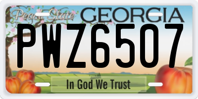 GA license plate PWZ6507