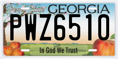 GA license plate PWZ6510
