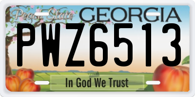 GA license plate PWZ6513