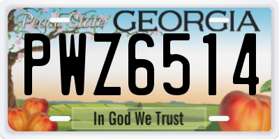 GA license plate PWZ6514