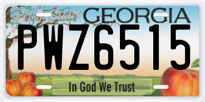 GA license plate PWZ6515