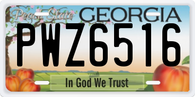 GA license plate PWZ6516