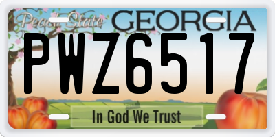 GA license plate PWZ6517