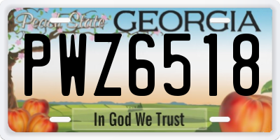 GA license plate PWZ6518