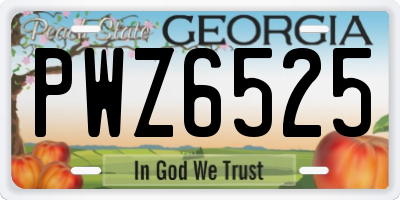 GA license plate PWZ6525
