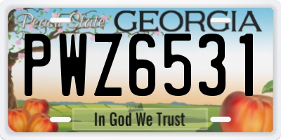 GA license plate PWZ6531