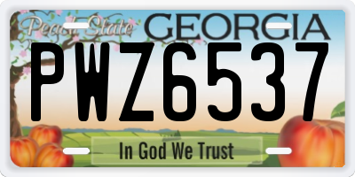 GA license plate PWZ6537
