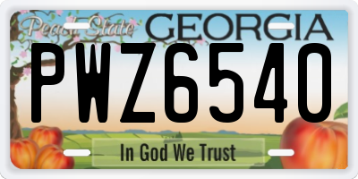 GA license plate PWZ6540