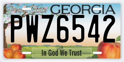 GA license plate PWZ6542
