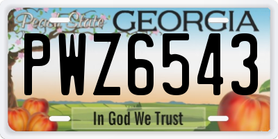 GA license plate PWZ6543