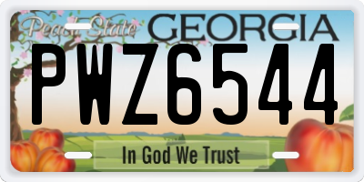 GA license plate PWZ6544