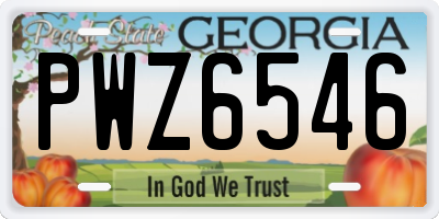 GA license plate PWZ6546