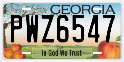 GA license plate PWZ6547