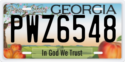 GA license plate PWZ6548