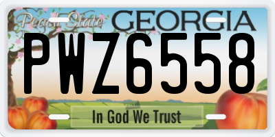 GA license plate PWZ6558