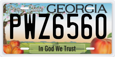 GA license plate PWZ6560