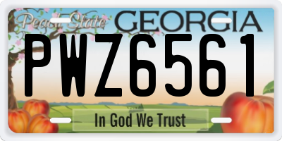 GA license plate PWZ6561