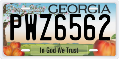 GA license plate PWZ6562