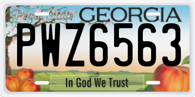 GA license plate PWZ6563