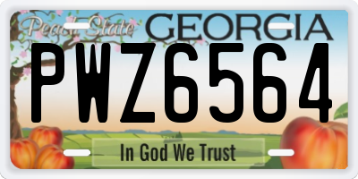 GA license plate PWZ6564