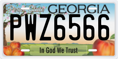 GA license plate PWZ6566