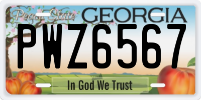 GA license plate PWZ6567