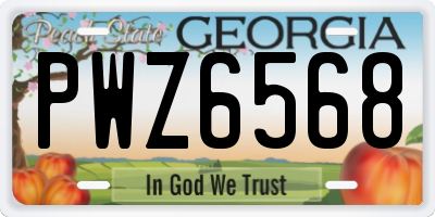 GA license plate PWZ6568