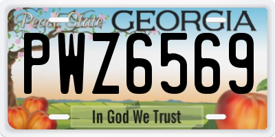 GA license plate PWZ6569