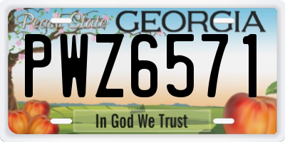 GA license plate PWZ6571