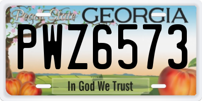 GA license plate PWZ6573