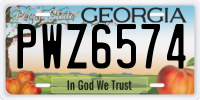 GA license plate PWZ6574