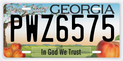 GA license plate PWZ6575