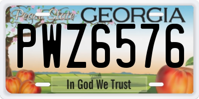 GA license plate PWZ6576