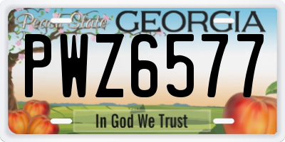 GA license plate PWZ6577