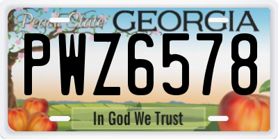 GA license plate PWZ6578