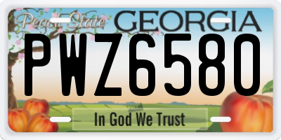 GA license plate PWZ6580