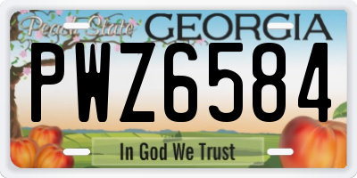 GA license plate PWZ6584
