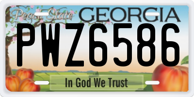 GA license plate PWZ6586