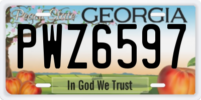 GA license plate PWZ6597