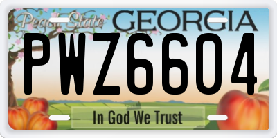 GA license plate PWZ6604