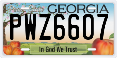 GA license plate PWZ6607