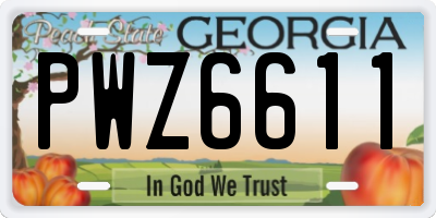GA license plate PWZ6611